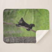 Zwart Beer Keuk op boomarm Sherpa Deken (Voorkant (horizontaal))