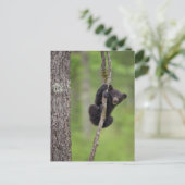 Zwart beer keuken spelen, Tennessee Briefkaart (Staand voorkant)