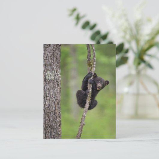 Zwart beer keuken spelen, Tennessee Briefkaart (Staand voorkant)