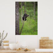 Zwart beer keuken spelen, Tennessee Poster (Keuken)