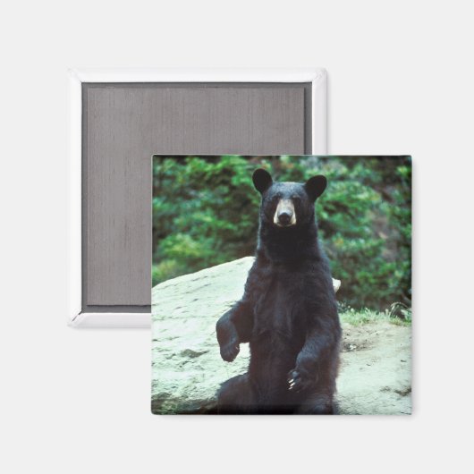Zwart beer magneet (Voorkant / Achterkant)