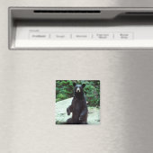 Zwart beer magneet (Insitu (Vaatwasser))