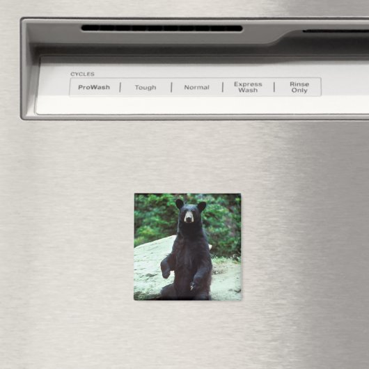 Zwart beer magneet (Insitu (Vaatwasser))