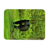 Zwart Beer Magneet (Horizontaal)