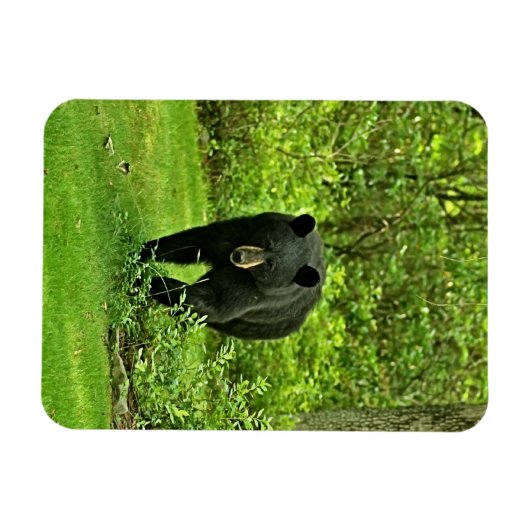 Zwart Beer Magneet (Horizontaal)