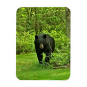 Zwart Beer Magneet (Verticaal)