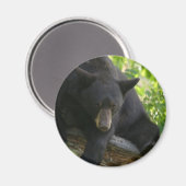 zwart beer magneet (Voorkant / Achterkant)