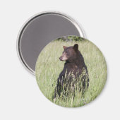 Zwart Beer Magnet (Voorkant / Achterkant)
