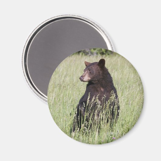 Zwart Beer Magnet (Voorkant / Achterkant)