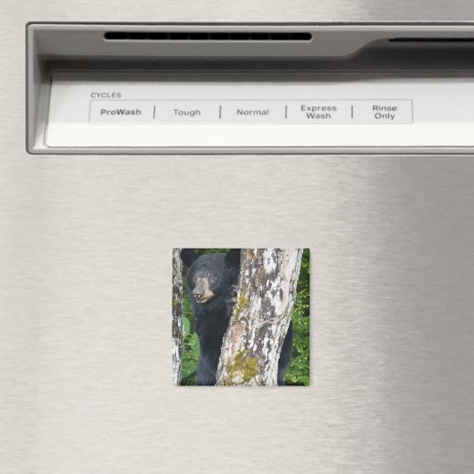 Zwart Beer Magnet (Insitu (Vaatwasser))