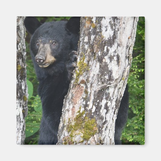 Zwart Beer Magnet (Voorkant)