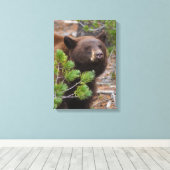 Zwart Beer met Blond Kleur Canvas Afdruk (Insitu (Houten vloer))