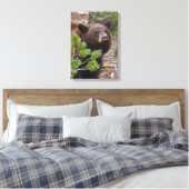 Zwart Beer met Blond Kleur Canvas Afdruk (Insitu (Slaapkamer))