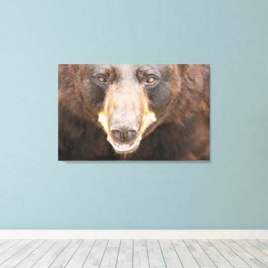 Zwart Beer, Michigan Canvas Afdruk (Insitu (Houten vloer))