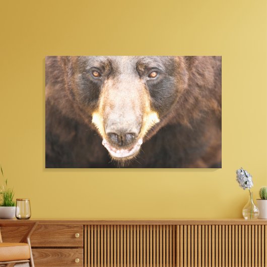 Zwart Beer, Michigan Canvas Afdruk (Insitu (Woonkamer))