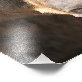 Zwart Beer, Michigan Foto Afdruk (Hoek)