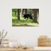 Zwart Beer nabij Campground Poster (Keuken)