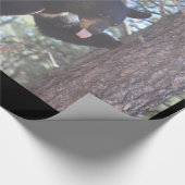 Zwart Beer omlooppapier Cadeaupapier (Hoek)