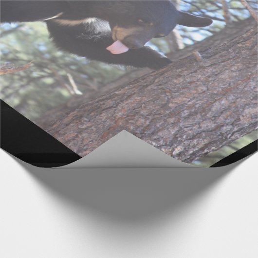 Zwart Beer omlooppapier Cadeaupapier (Hoek)