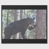 Zwart Beer omlooppapier Cadeaupapier (Vlak)