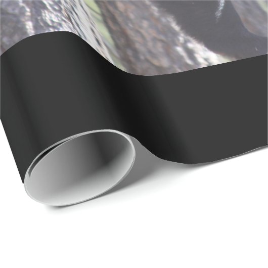 Zwart Beer omlooppapier Cadeaupapier (Rol Hoek)