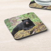 Zwart beer op een oud groeilogboek drankjes onderzetter (Linkerzijde)