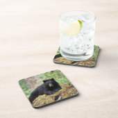 Zwart beer op een oud groeilogboek drankjes onderzetter (Rechterzijde)