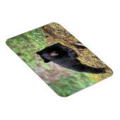 Zwart beer op een oud groeilogboek magneet (Rechterzijde)