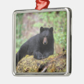 Zwart beer op een oud groeilogboek metalen ornament (Links)