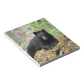 Zwart beer op een oud groeilogboek notitieblok (Schuin)