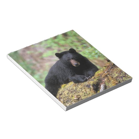 Zwart beer op een oud groeilogboek notitieblok (Schuin)