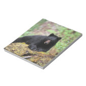 Zwart beer op een oud groeilogboek notitieblok (Linkerzijde)