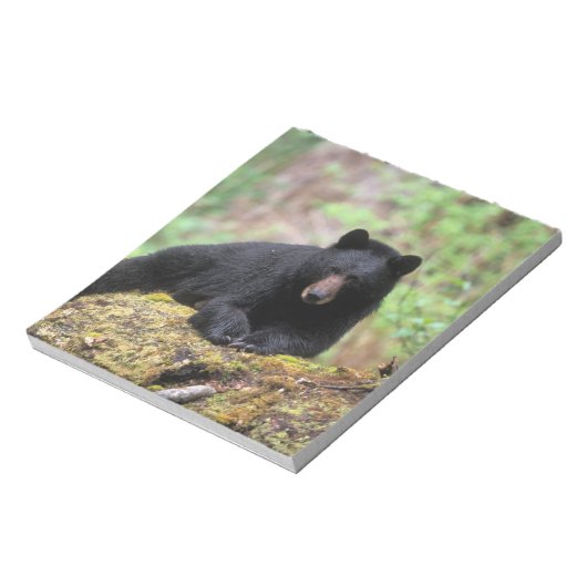 Zwart beer op een oud groeilogboek notitieblok (Linkerzijde)