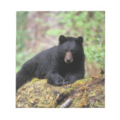 Zwart beer op een oud groeilogboek notitieblok (Voorkant)