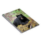 Zwart beer op een oud groeilogboek notitieboek (Rechterzijde)