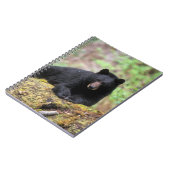 Zwart beer op een oud groeilogboek notitieboek (Linkerzijde)