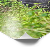 Zwart Beer opstaan Foto Afdruk (Hoek)