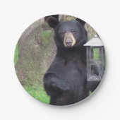 Zwart Beer Papieren Bordje (Voorkant)