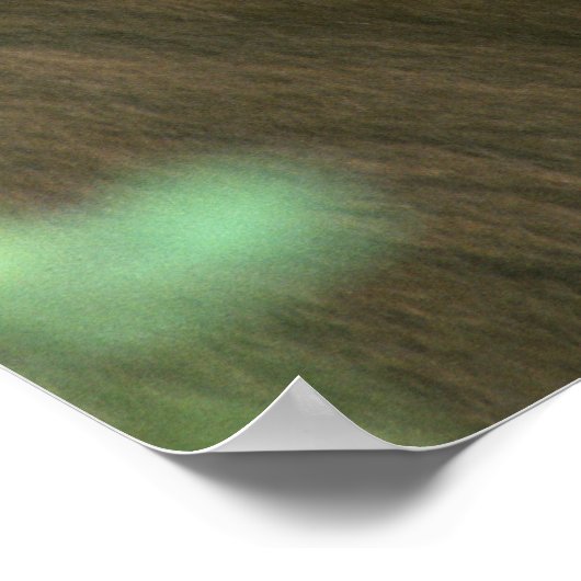 Zwart Beer Poster (Hoek)