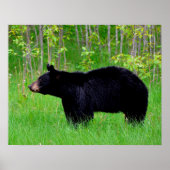 Zwart Beer Poster (Voorkant)
