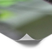 zwart beer poster (Hoek)