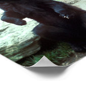 Zwart beer poster (Hoek)