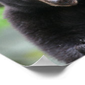 zwart beer poster (Hoek)