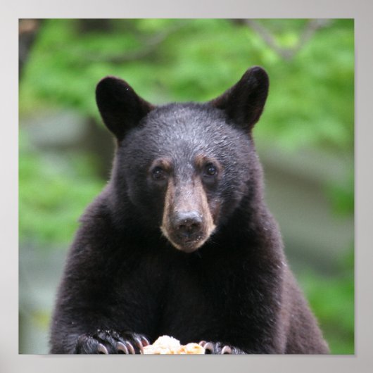 zwart beer poster (Voorkant)