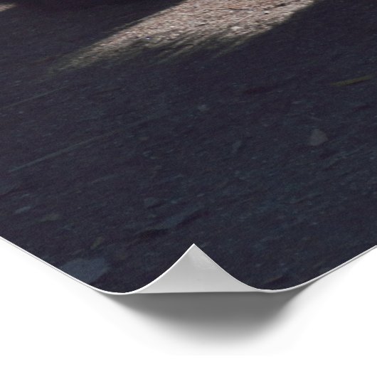 Zwart Beer Poster (Hoek)