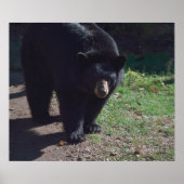 Zwart Beer Poster (Voorkant)