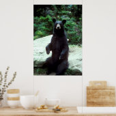 Zwart Beer Poster (Keuken)