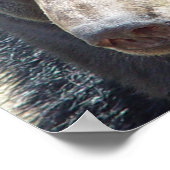 Zwart Beer Poster afdrukken (Hoek)