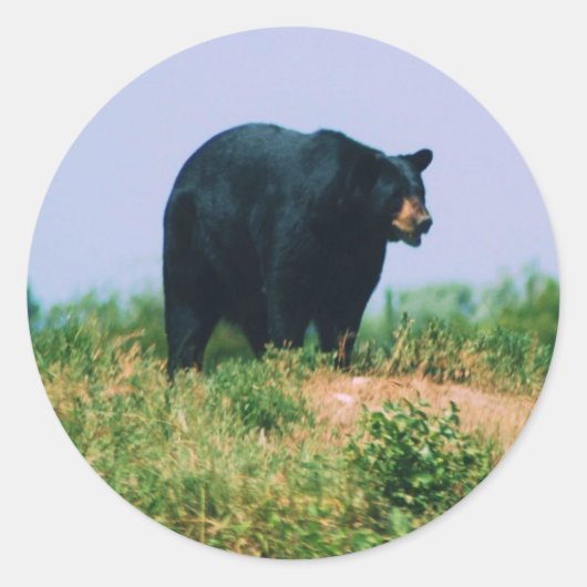 zwart beer ronde sticker (Voorkant)