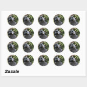 zwart beer ronde sticker (Vel)